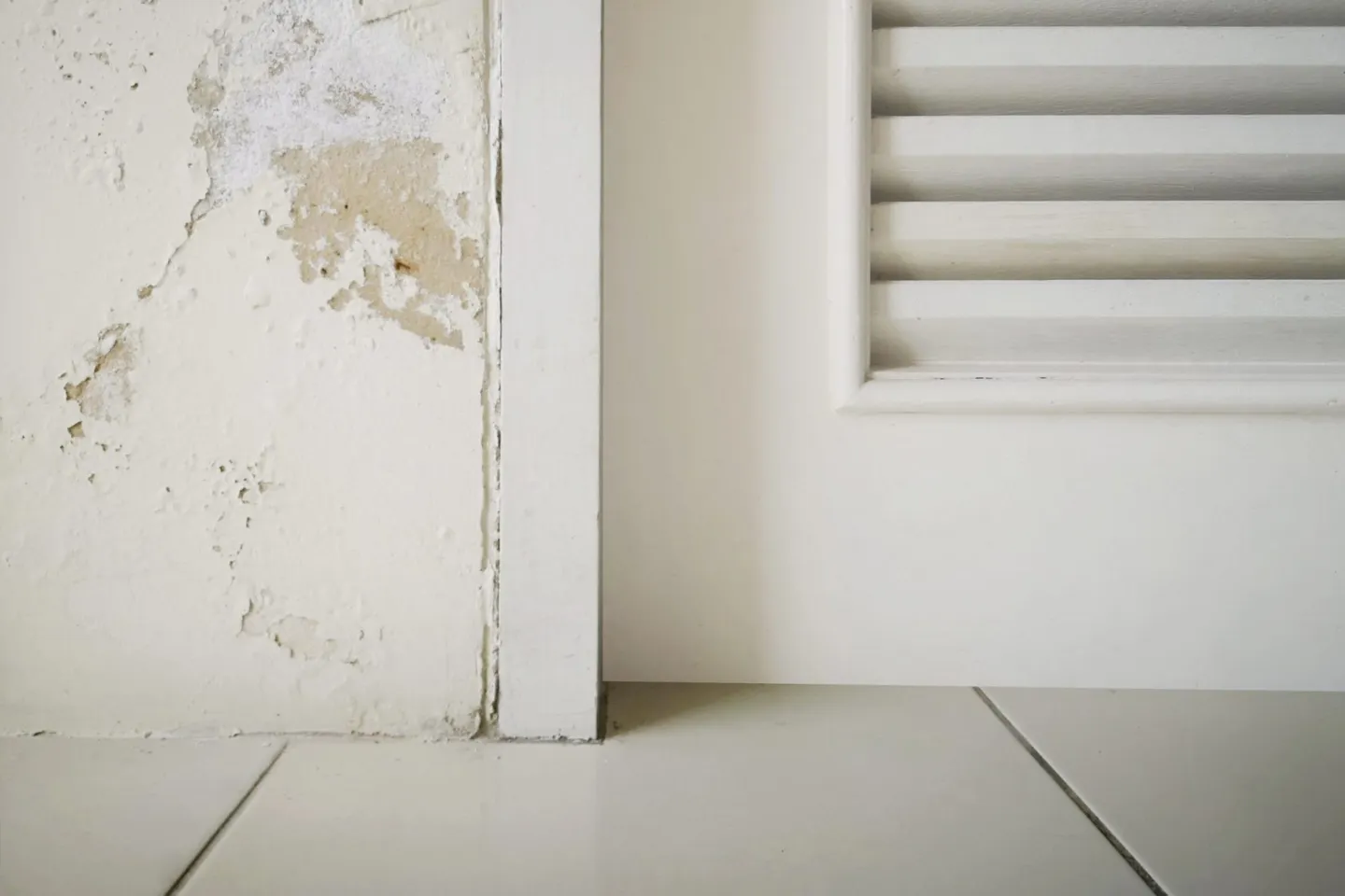 Schimmel in huis