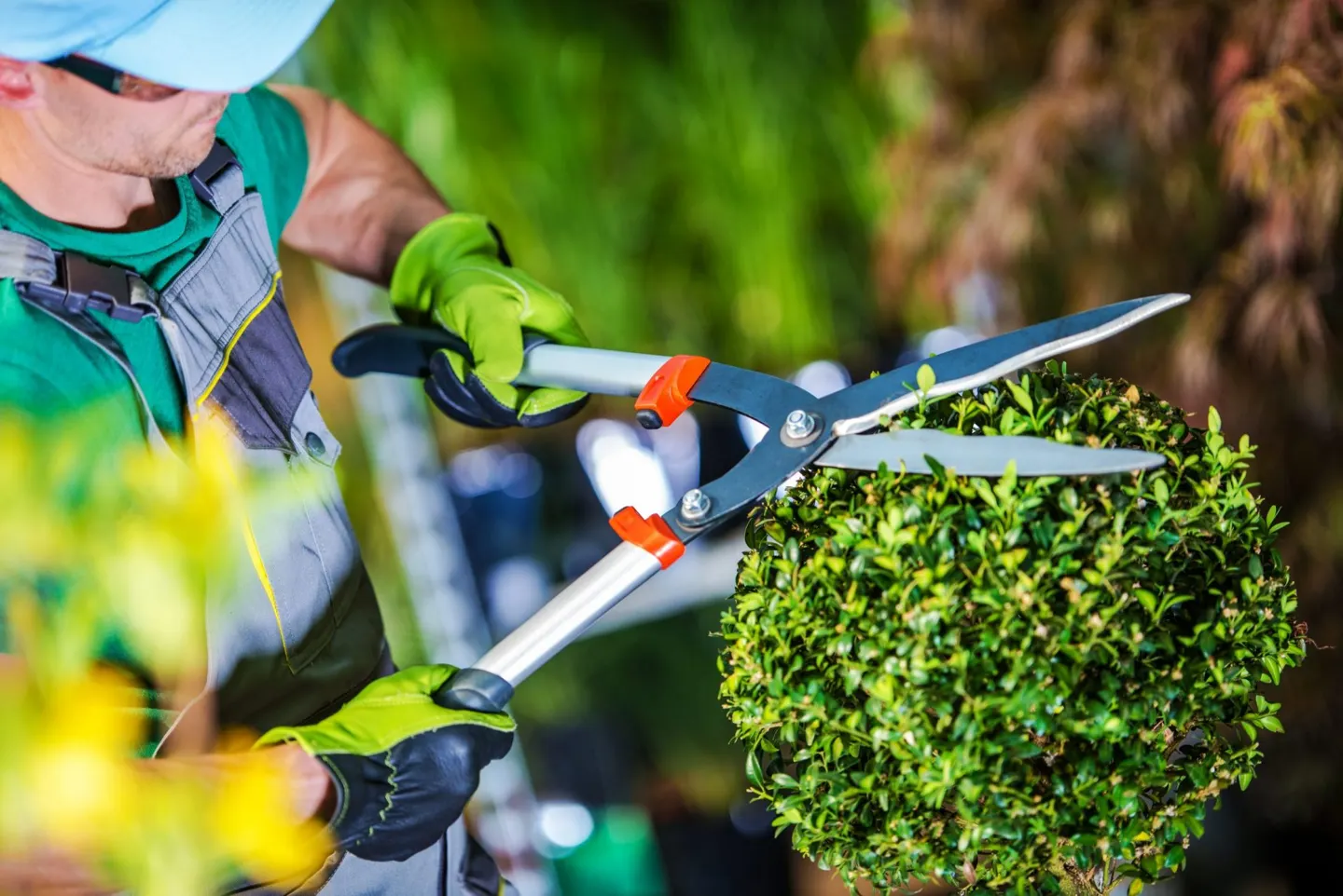 Tuin knippen onderhoud
